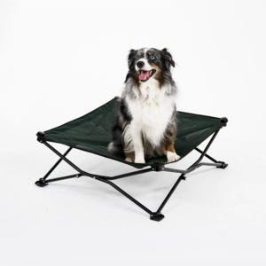 Coolaroo On the Go Foldable Elevated Travel Dog Bed (Medium, up to 75-lbs) $19.75 & More