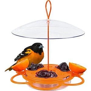 Nature's Way OFP1 All-in-One Oriole Buffet Bird Feeder (12-Oz Capacity, Orange) $2.05