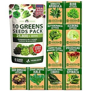Prime Members: HOME GROWN 11500+ 10 Varieties Non-GMO Heirloom Lettuce Seeds $5.10 & More