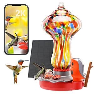 BBPECO Glass Smart Hummingbird Feeder w/ 2K Solar Powered Camera (2 Designs) $30 + Free Shipping