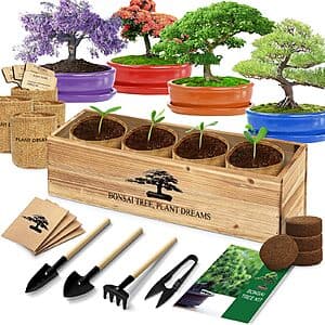 Bonsai Tree Starter Kit w/ Seeds & Tools $14.25