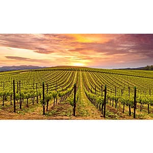 Napa Valley Marriott Hotel & Spa Bundle: 2-Night Stay for 2-Guests w/ Amenities $499 (Book by 3/31 & Travel thru Sept)