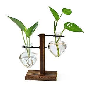 XXXFlower 2-Love Bulb Vase Plant Terrarium Air Planter w/ Wooden Stand $9.80