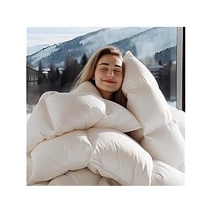 Wellos 900+ Fill Goose Feather Down 1600 TC/DM Cotton Blend Comforter: Queen $45 & More + Free Shipping w/ Prime